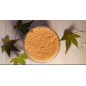 Sucre Érable-200G