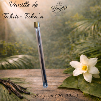 Gousse de Vanille de Tahiti – Taha’a (1 gousse XL env. 20–22 cm)