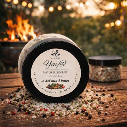 Sel aromatisé aux 5 baies