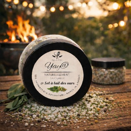 Sel aromatisé à l'ail des ours