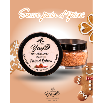 Sucre aromatisé au pain d'épices - 100g