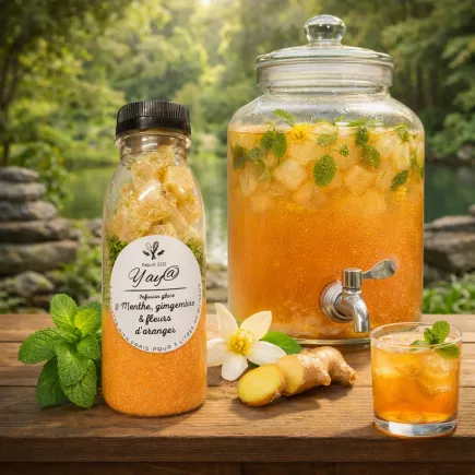 kit à infusion glacé menthe gingembre & pêche de vigne
