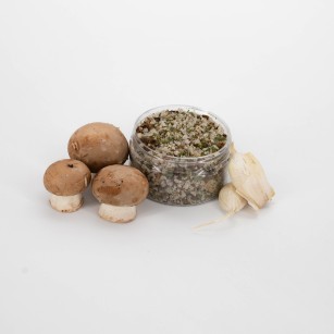 Sel Forestier - Pot PET de 100g