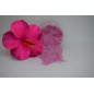Sucre hibiscus -100G